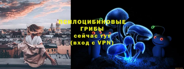 молекула духа Арсеньев