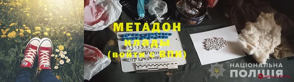 трава Аркадак