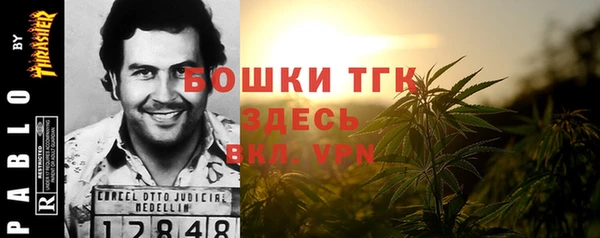 трава Аркадак