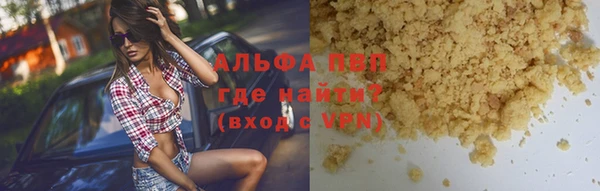 молекула духа Арсеньев