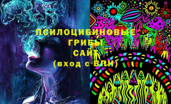 молекула духа Арсеньев