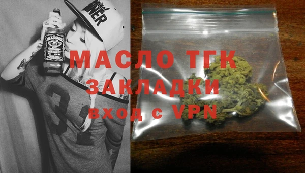 молекула духа Арсеньев