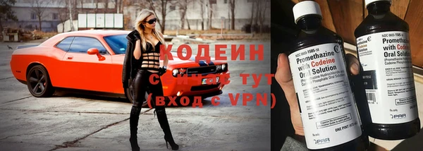 трава Аркадак