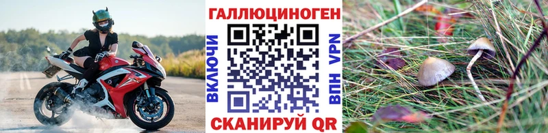 Галлюциногенные грибы мухоморы  Шатура 